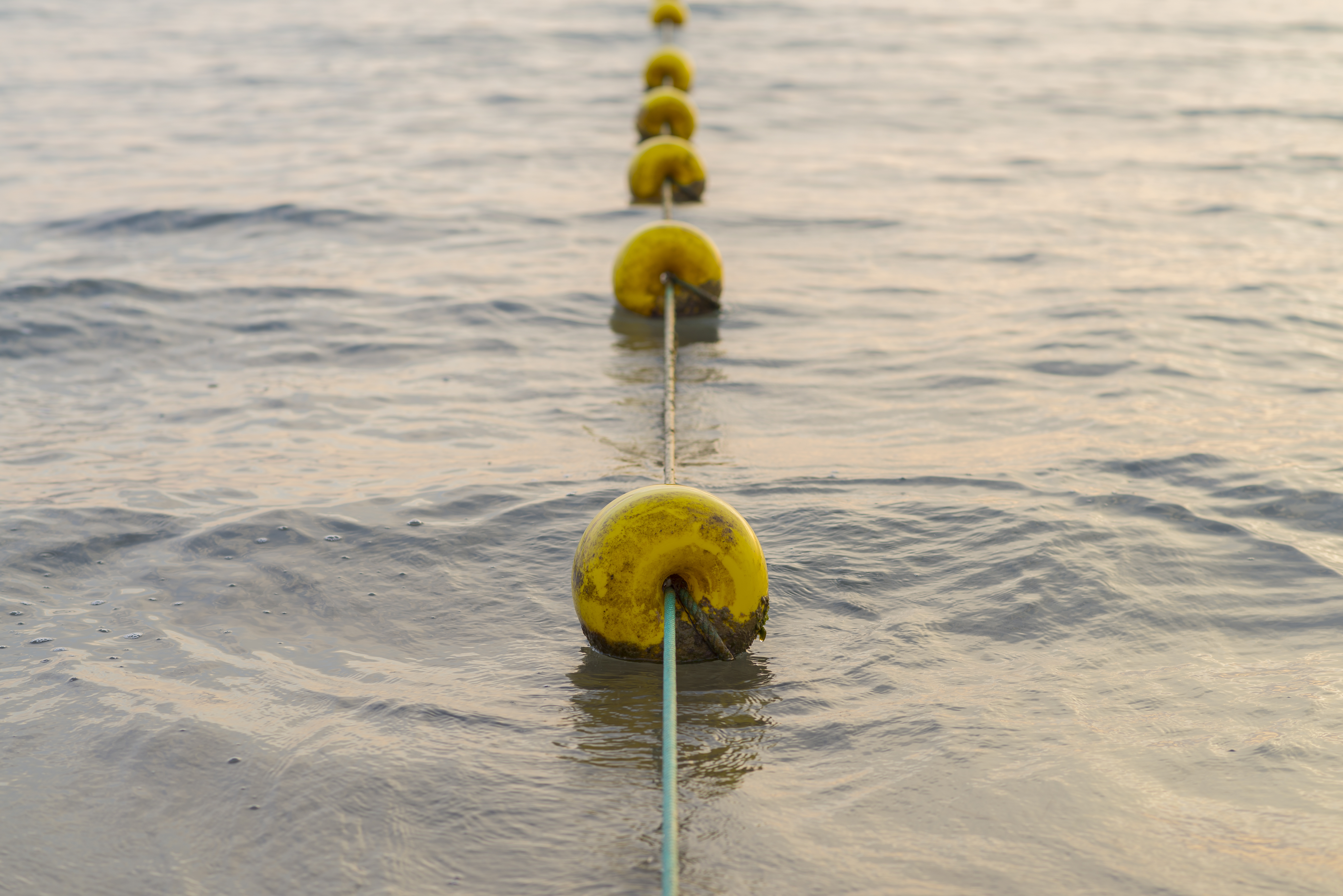 Verankeringsboei / mooring